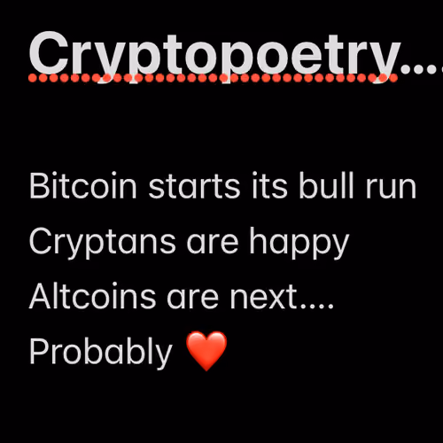 BULLRUN🤘