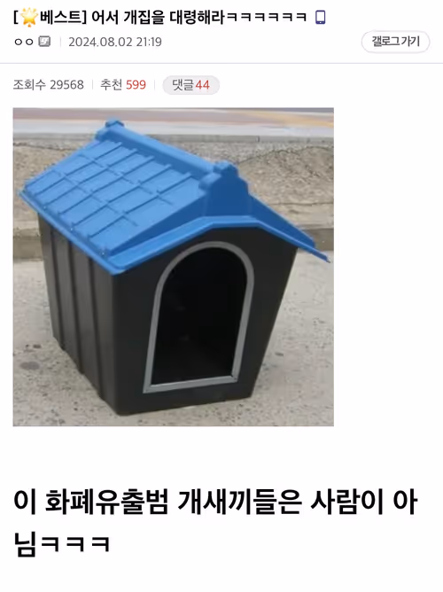 Item #50 Media