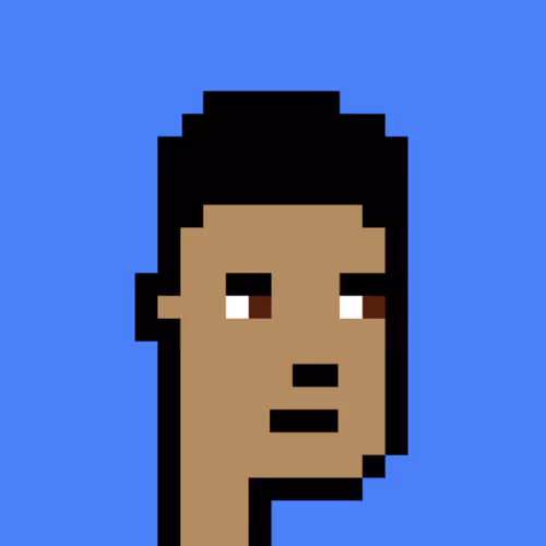 Munir Crypto Punk #3