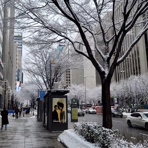 winter_snow