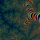 29