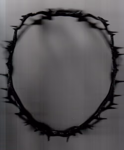 Item #12 Media
