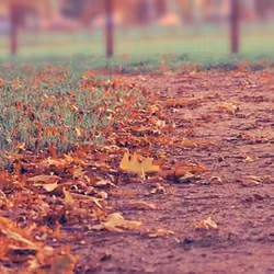 Distance