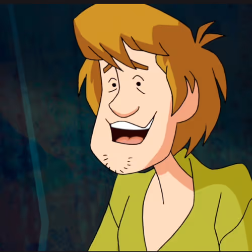 ZOINKS 1