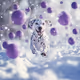 Dalmatian