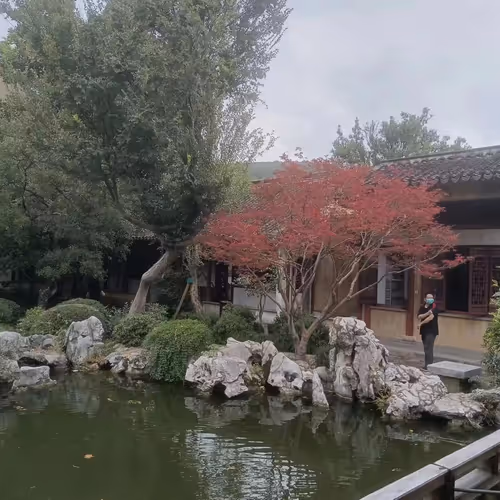 garden 3
