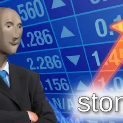 Stoks 223