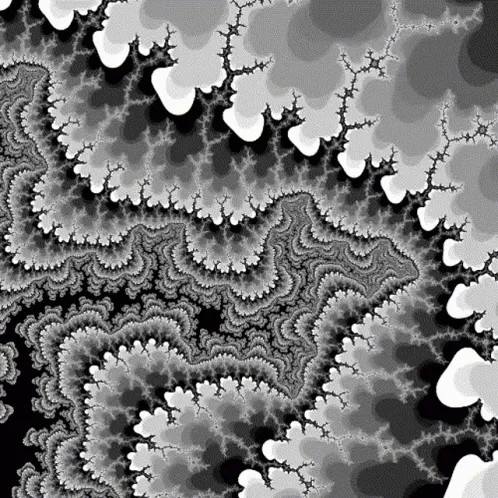 Fractal 2