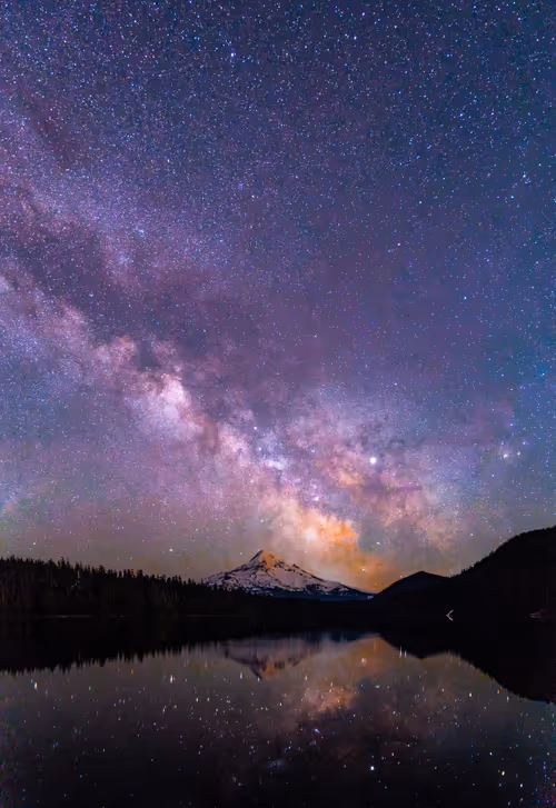 Item #2021996000036297984600026131526472300522785831690542936082770768691201 Media