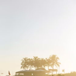 pexels-viniciusvieirafotografia-25194125