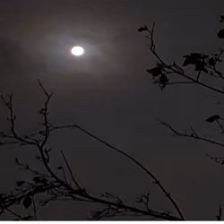 Super moon