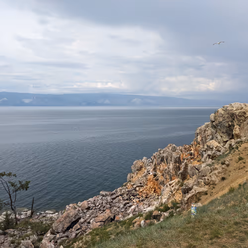 PXL_20240716_061031171