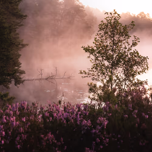A foggy lake 15/1000