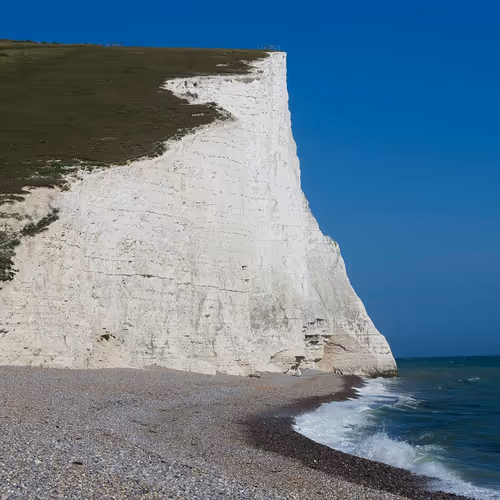 Tina 4316 1