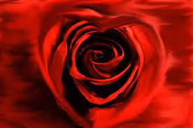 roseb