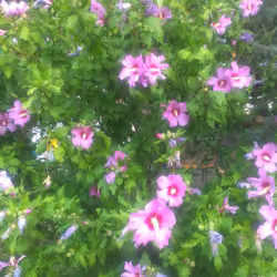 IMAG2614