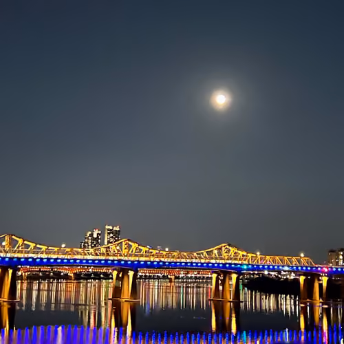 Seoul Night