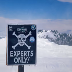 EXPERT$ ONLY