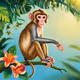 Monkey