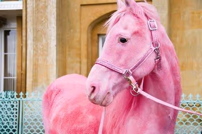 Pink horse