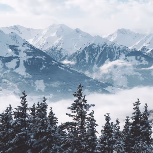snow-and-fog