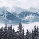 snow-and-fog