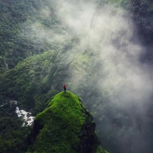 Mountains trees