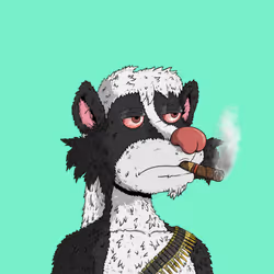 626