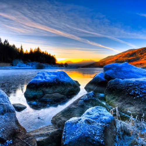 Nature 6