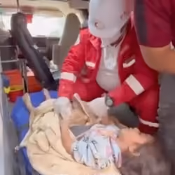 ISRAEL - TERRORIST