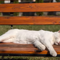 Relax