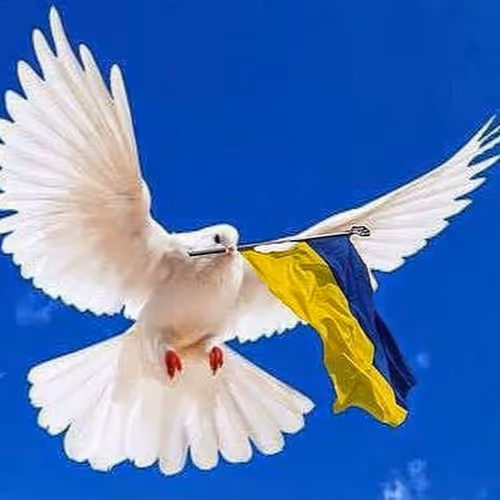 Bird 2