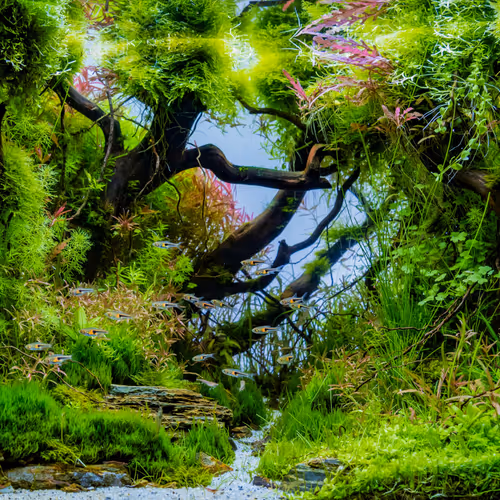 Waterland 2/100