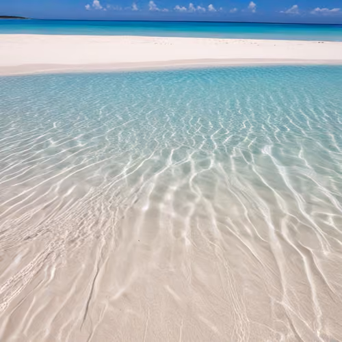 dream