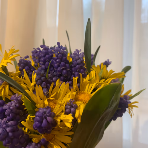 "Blossoms in Bloom: Bouquets of Beauty"