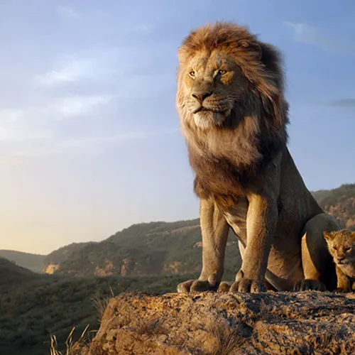 Lion King