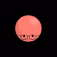 443