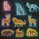 Animals (61)