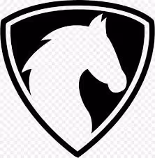 zora zora shield