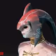 zorawarrior