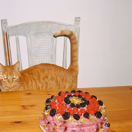 Little dude's birthday <3