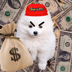 OG Sad Dog