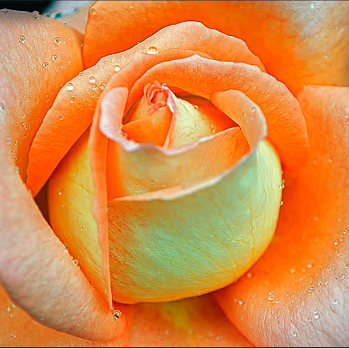 Screenshot 2024-09-20 101452