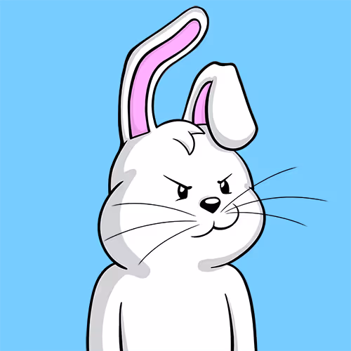 Zora x Bunny 8