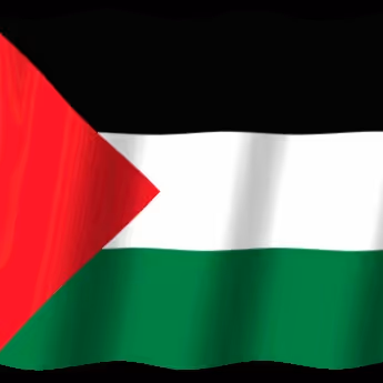 Free Palestine Project Aid #1