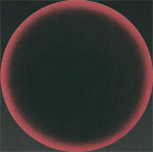 Zora and the Sun #45