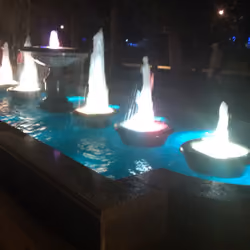 IMAG1124