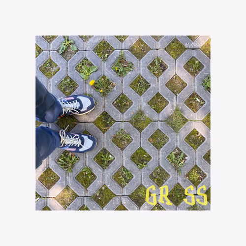 GRSS Snkr$$