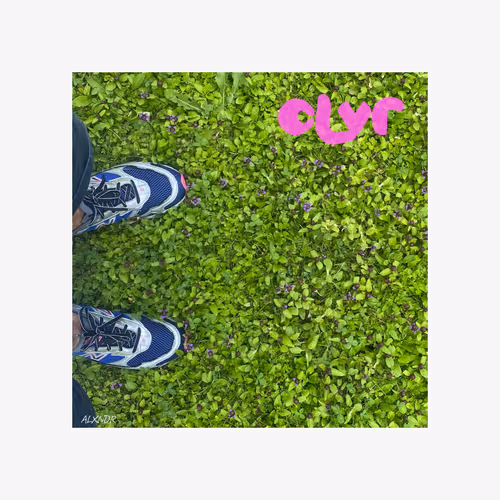 Clover Snkr$$