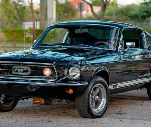 Mustang GT #49